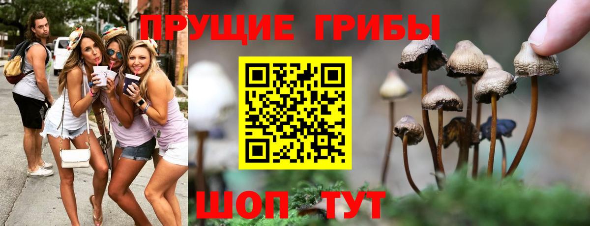 Псилоцибиновые грибы Psilocybine cubensis Пыть-Ях